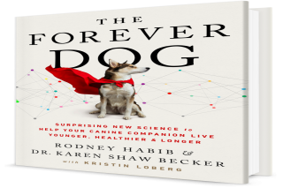 Foreverdog.com