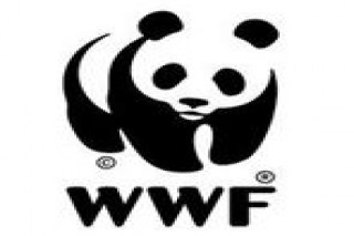 WWFindia.org