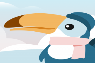 Toucan